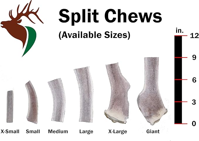 Giant Split Single Pack (for 75+ lb Dogs) Premium Grade Elk Antler for Dogs (1 Piece) Sourced in The USA