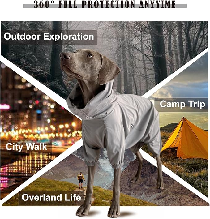 Dog Lightweight Windbreaker, Pet Outdoor Sports Jacket, 0.5 lbs,3 in One, Hooded, Easy on/Off with Collar and Harness, Reflective Piping, Packable, Dog Hiking/Camping, Grey (Large)