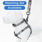 Pawtitas 6 FT Pet Puppy Leash Reflective Dog Leash Comfortable Handle Highly Reflective Threads Heavy Duty Dog Training Leash Available as a 6 ft Medium Dog Leash or 4 ft Dog Leash