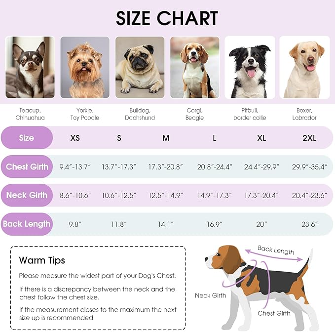 Queenmore Dog Winter Coat, Cold Weather Polyester Jacket for Dogs, Waterproof Reflective Reversible, for Small, Medium and Large Dogs (Tie-Dye, M)