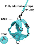 Cat Harness and Leash Set Escape Proof Tactical Extra Large Kitten Harness Emotional Support Cat Vest, Turquoise, XL