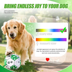 Size 2 Dog Soccer Ball with Straps White & Green Durable Training Ball for Pets Interactive Outdoor Dog Toy, for Small & Medium Puppies, Pet Supplies