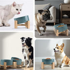 SPUNKYJUNKY 15° Slanted Ceramic Dog and Cat Bowl with Wooden Stand, Tilted Bulldog Food and Water Bowl No Slip Non-Spill for Cats Medium Dogs Big Face Pets 28.7 OZ (3.6 Cups, Light Green × 2)
