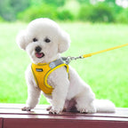 AIITLE No Pull Dog Harness and Leash Set, Step in Adjustable Pet Harnesses with Padded Vest for All Weather, Dog Leash with Soft Padded Handle, Easy to Put on Small and Medium Dogs Yellow S