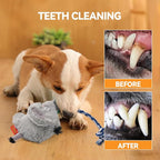 AUSCAT Plush Dog Rope Toy, Durable Squeaky Dog Toys for Puppy Small Medium Dogs (Not for Aggressive Chewers), Elephant