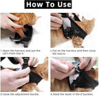 Cat & Dog Vest Harness - All Weather Mesh, Reflective Strap, Step-in Adjustable for Small Cats & Dogs (Black, XS)