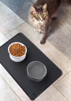 LoeJan Elevated Cat Food Bowl, 5 Oz Ceramic Raised and Tilted Water Bowl, Anti Vomiting and Protect Pets' Spines Dishes for Small Dog, Fat Faced Cat, Kitten (White & Grey)