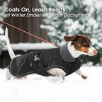 Dachshund Coat - Warm Winter Dog Jacket with Fleece Lining, Windproof Waterproof Snowsuit, Black, Medium