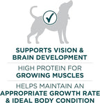 Purina ONE Plus Large Breed Puppy Food Dry Formula - 16.5 lb. Bag