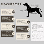 Queenmore Small Dog Warm Winter Jacket, Soft Fleece Vest Pullover with Leash Hole, Dachshund Cat Boy or Girl (Black, S)
