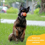 Pup's Pick Squeaky Tennis Balls - 2.5" Fun Dog Balls for Fetch, 12-Pack in Bright Colors (Yellow, Blue, Pink, Orange), Includes 1 Reusable Carry Bag