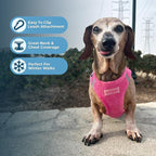 Best Pet Supplies - All Weather Mesh/Plush, Reflective, No Pull Harness for Small, Medium Dogs, Cats - Secure with Hook & Loop Fastener, Buckle, Double D-Rings - Fuchsia Corduroy, XS