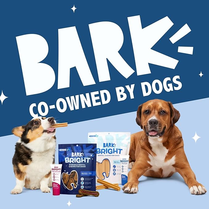 Barkbox Bright Durable Dental Kit, Berry Mint Flavored, 15 Chew Sticks & Toothpaste - Small Breeds