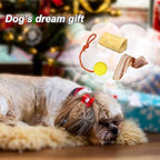 2 Pack Dog Ball, K9 Ball on Rope for Reward, Fetch, Play (7cm)
