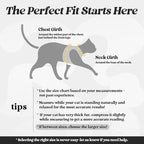 rabbitgoo Cat Harness and Leash Set for Walking Escape Proof, Adjustable Soft Kittens Vest with Reflective Strip for Cats, Comfortable Outdoor Vest, Black, M