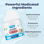 Vetnique Glandex Medicated Dog Butt Wipes or Spray for Dog Scooting - Topical Anti Itch Skin Relief for Soothing Inflamed Anal Glands in Dogs & Cats - Fast Acting Formula 50ct (50ct Wipes)
