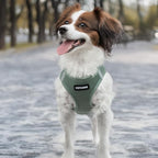 Best Pet Supplies Voyager Step-in Air Harness - All Weather Mesh, Reflective, No Pull Harness for Dogs, Cats - Secure with Hook & Loop Fastener, Buckle, Double D-Rings - Moss Green, XL