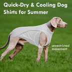 2 Pack Dog T-Shirts for Large Dogs, Quick Dry Cooling Vest, Summer UV Protection UPF50+ Shirt for Dogs Outdoor Hiking, Beach Trip, Travel, Blue+Grey, 2XL