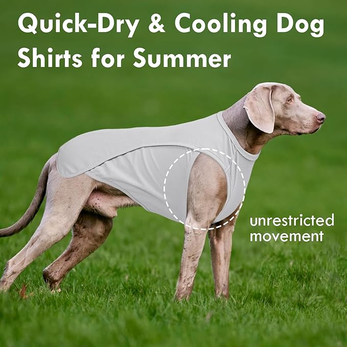 2 Pack Dog T-Shirt, Quick Dry Durable Shirts for Large Dogs, Summer Cooling Sun Protection Clothes, Breathable Prevents Overheating Vest, Blue+Grey, 5XL