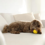 Playology Dog Toys | Dual Layer Ball Durable Chew Toy for Aggressive Chewers | Medium Chicken Scented Toy - Easy to Clean and Made from Non Toxic Materials