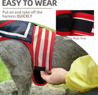 PUPTECK Soft Mesh Cat Vest Harness and Leash Set Puppy Padded Pet Harnesses Escape Proof for Cats Small Dogs Rabbits Bunny, Navy Red, L