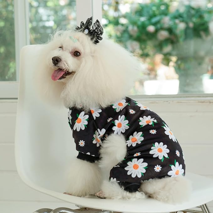 CuteBone Small Dogs Outfit Soft Puppy Onesies Pjs Dog Pajamas Pet Coat Cat Apparel Comfy Doggie Jumpsuit Bodysuit for All Seasons P221L