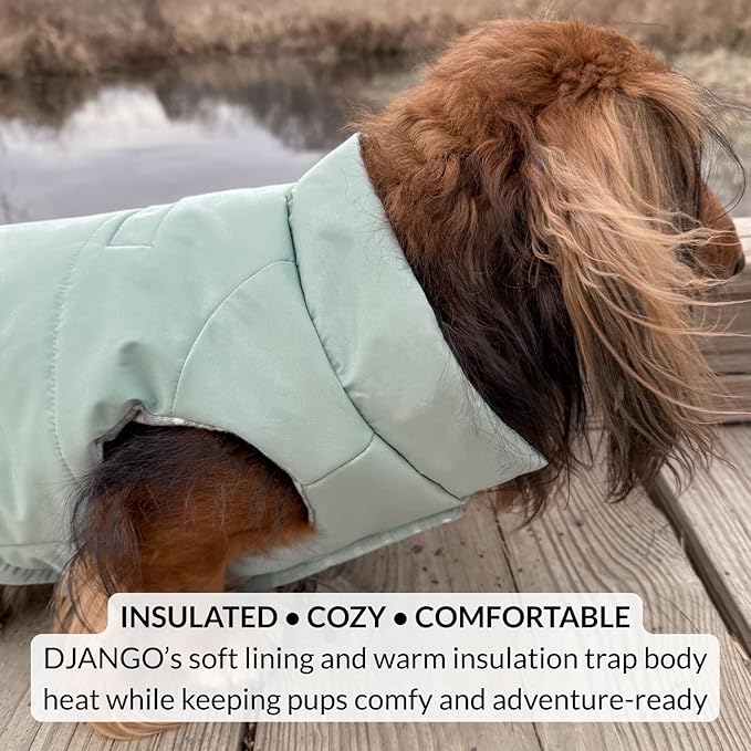 DJANGO Puffer Dog Coat – Warm Winter Dog Jacket & Water-Repellent Insulated Puffer Vest with Striped Lining, Harness Hole, Adjustable Fit for Small & Medium Dogs, Dachshunds – Sea Foam Green, Large