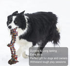 Jalousie 14 Pack Puppy Chew Dog Rope Toy Assortment for Small Medium Large Breeds
