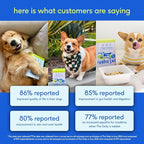 Native Pet Dog Vitamins & Supplements - 11-in-1 Multivitamin Powder for Dogs Food Topper - Collagen, Glucosamine, Probiotics, Omega & More- Supports Healthy Gut, Mobility & Overall Health -120 Scoops