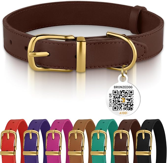 BRONZEDOG Leather Dog Collar with Metal Buckle Durable Basic Pet Collars for Small Medium Large Dogs (19-21 Inch (Pack of 1), Dark Brown & Gold Buckle)