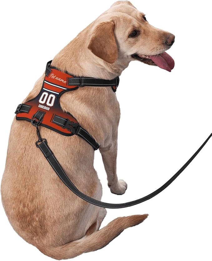 Custom Chicago Dog Harness with Reflective Stripes Personalized Name and Number Dog Vest Harness with Pet Traction Rope for Small Medium Large Dog
