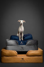 NOAH & PAW XL Dog Bed, 45x35x9.1 Inch, Orthopedic Large Dog Beds, Eggshell Memory Foam Infused with Cooling Gel, Waterproof, Machine Washable, Includes Inner Cover (Denim Collection)