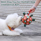 QDAN Christmas Dog Balls with Straps, Soccer Ball for Dogs for Small Medium Pet, Interactive Rope Toys, Puppy Birthday Gifts (6 Inch)