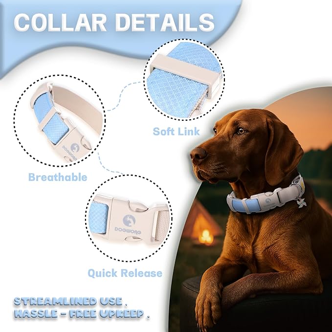 DOGWONG LED Dog Collar - Heavy Duty Light up Collars - Rechargeable Waterproof - Lighted Dog Collar for Night Walking, Hiking, Camping(Blue,S)