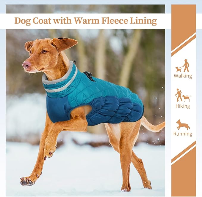 Dog Jackets for Medium Dogs,Medium Dog Coat,Warm Pet Winter Coat Zip Up Back,Waterproof Dogs Jacket with D-Ring,Pet Cold Weather Coats with Fleece Lined, Snowsuit Pug Boston Terrier,M