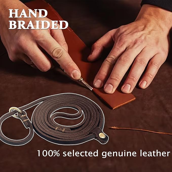 Guiding Star Leather Slip Lead Dog Leash for Small Dogs & Puppies 6 Ft x 1/4 Inch,Luxurious and Lightweight Leather Training Dog Leash for Walking with Soft Handle (Brown)