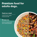Jinx Salmon Wet Dog Food Topper, Mix with Dry Dog Food, Made with Real Salmon & Chicken, Bone Broth, No Fillers, Puppy, Adult, Senior, 9oz, 12 Pack