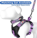 Pawtitas 6 FT Padded Dog Leash with Comfortable Neoprene Padding Handle - Purple Lead | Small Reflective Dog Leash with Highly Reflective Band Perfect for Extra Small and Small Dogs and Puppies.
