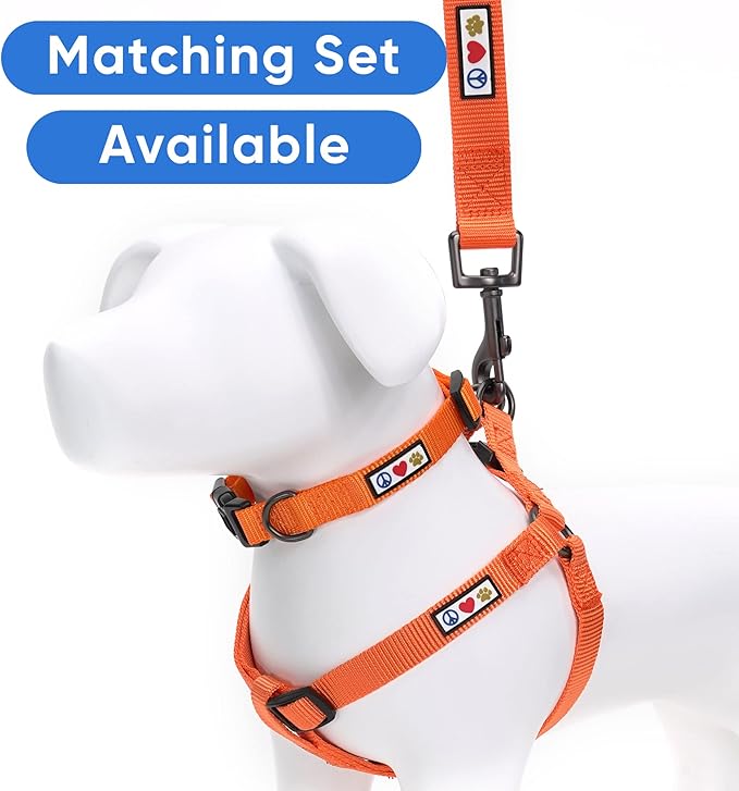 Pawtitas 6 FT Comfortable Leash - Solid Color, Medium/Large, Orange, Perfect for Dog Training