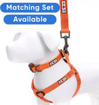 Pawtitas 6 FT Comfortable Leash - Solid Color, Medium/Large, Orange, Perfect for Dog Training