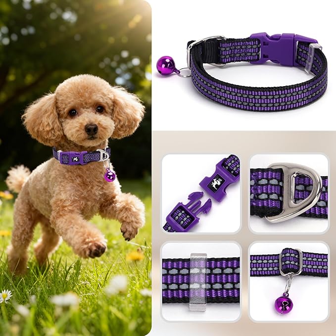 Reflective Dog Collar with Bell - Adjustable Nylon Puppy Collar for Small Dogs, Chihuahua Pomeranian - Night Safety (Purple XS)