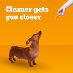 Pedigree Dentastix Small and Toy Breed Dog Treats, Original with Real Chicken, 1.63 lb. Bag (108 Treats)