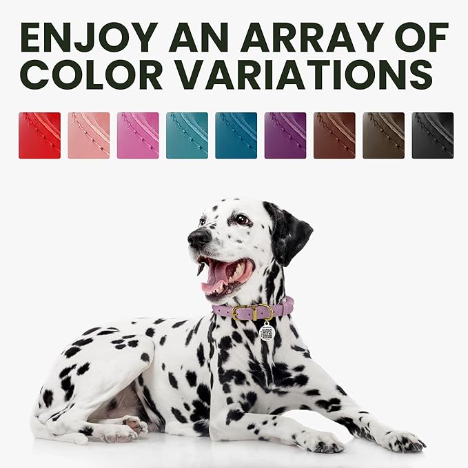 BRONZEDOG Rolled Leather Dog Collar for Small Medium Large Dogs with QR ID Tag (M: 14-16 Inch, Plum)