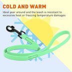 Dogline Biothane Waterproof Dog Leash Strong Coated Nylon Webbing with Black Hardware Odor-Proof Easy to Clean High Performance for Small or Large Dogs Made in USA 4 or 6 ft Lead, Sea Foam Green