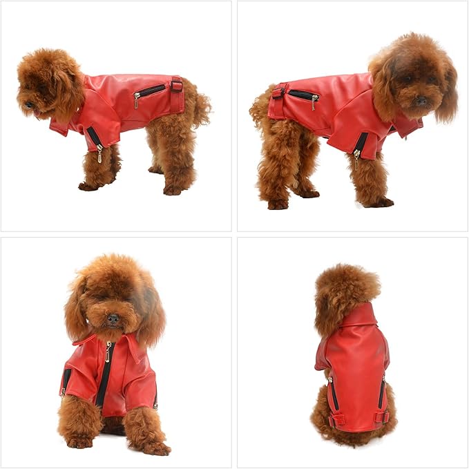 Lovelonglong Cool Dog Leather Jacket, Warm Coats Dogs Windproof Cold Weather Coats for Large Medium Small Dogs, Pomeranian Clothing Red M