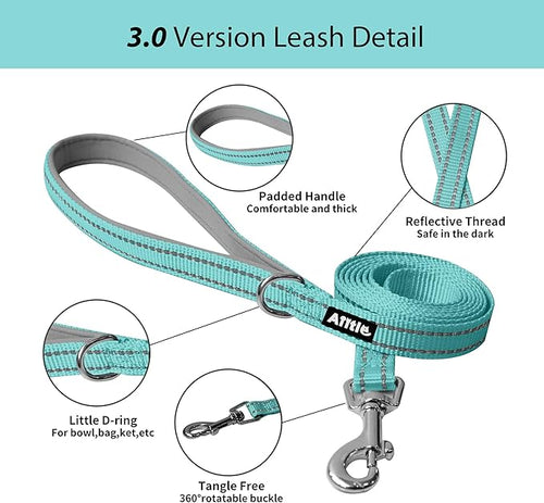 AIITLE Comfortable Dog Harness and Leash Set for Walking - Summer Step in Vest Harness,Reflective Bands, Adjustable No Pull Puppy Essentials, for Small Dogs and House Cats Turquoise XS