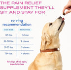 Native Pet Pain Relief for Dogs - Collagen for Dogs Promotes Joint Health, Reduce Inflammation & Stiffness - Senior Pup Joint Supplement - Natural Pain Reliever for Active & Aging Pets - 60 Chews