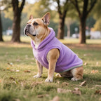 Idepet 2 Pack Dog Fleece Vest Sweater Warm Pullover Jacket with D-Ring Leash Reflective Winter Coat Hoodie for Puppy Cat French Bulldog Pug Chihuahuas Yorkies Dachshunds(Purple&Pink,Medium)