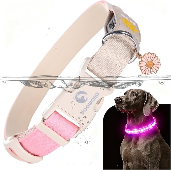 DOGWONG LED Dog Collar - Heavy Duty Light up Collars - Rechargeable Waterproof - Lighted Dog Collar for Night Walking, Hiking, Camping(Pink,M)