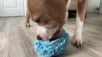 Glory To Dog Medium Breed Snuffle Interactive Foraging Dog Puzzle Ball Toy Blue Large